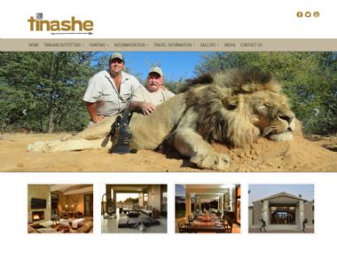 Tinashe<br><a href='http://www.tinashegroup.co.za' target='_blank'><small>www.tinashegroup.co.za</small></a>