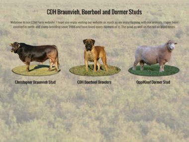 CDH Farm<br><a href='http://www.cdhfarm.co.za' target='_blank'><small>www.cdhfarm.co.za</small></a>