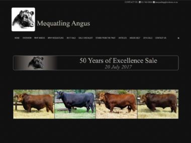 Mequatling Angus<br><a href='http://www.mequatling.co.za' target='_blank'><small>www.mequatling.co.za</small></a>