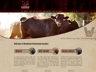 Woodview<br><a href='http://www.woodview.co.za' target='_blank'><small>www.woodview.co.za</small></a>
